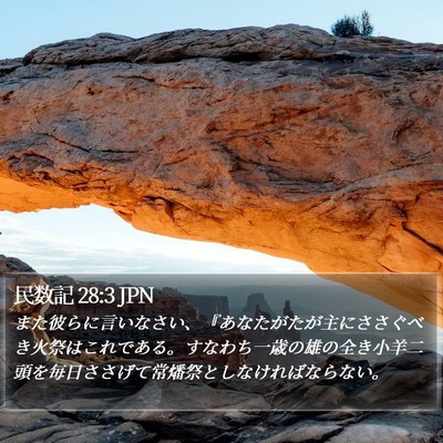 民数記 28:3 JPN Bible Verse Image