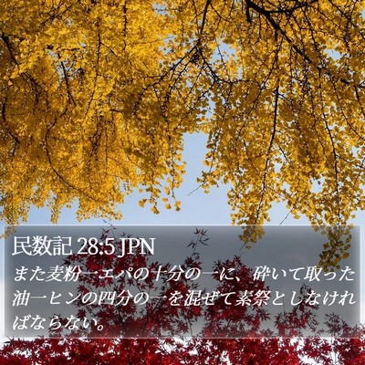 民数記 28:5 JPN Bible Verse Image