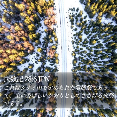 民数記 28:6 JPN Bible Verse Image