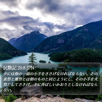 民数記 28:8 JPN Bible Verse Image