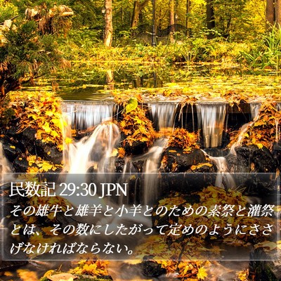 民数記 29:30 JPN Bible Verse Image