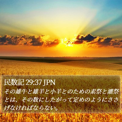 民数記 29:37 JPN Bible Verse Image