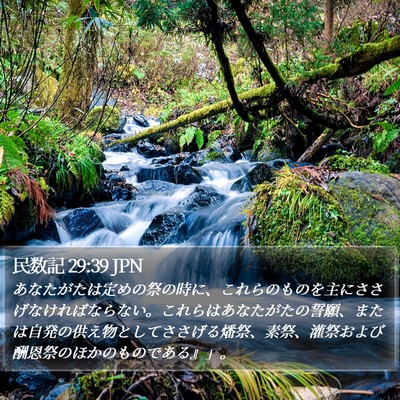 民数記 29:39 JPN Bible Verse Image