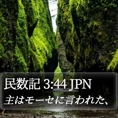 民数記 3:44 JPN Bible Verse Image