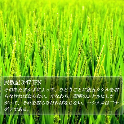 民数記 3:47 JPN Bible Verse Image
