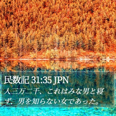 民数記 31:35 JPN Bible Verse Image