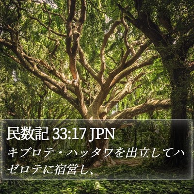 民数記 33:17 JPN Bible Verse Image