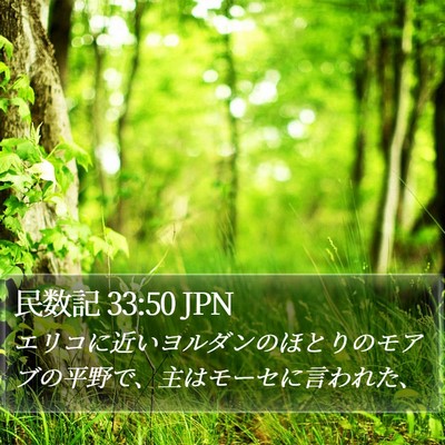 民数記 33:50 JPN Bible Verse Image
