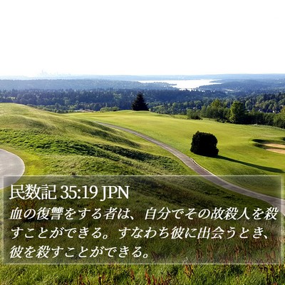 民数記 35:19 JPN Bible Verse Image