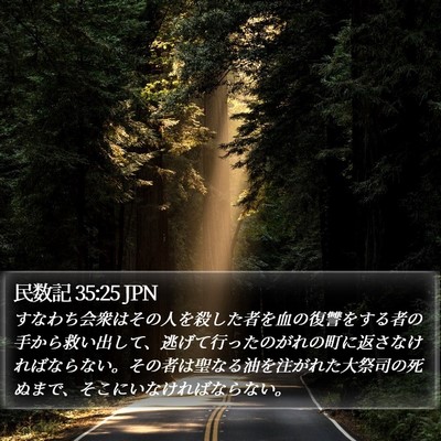 民数記 35:25 JPN Bible Verse Image
