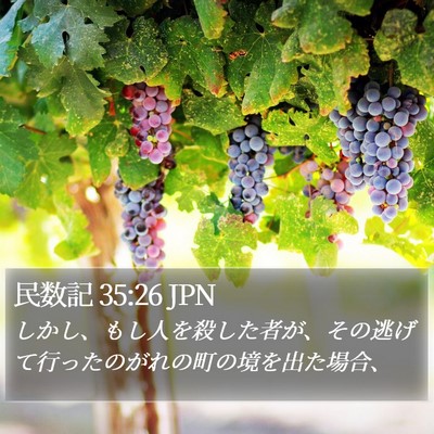 民数記 35:26 JPN Bible Verse Image