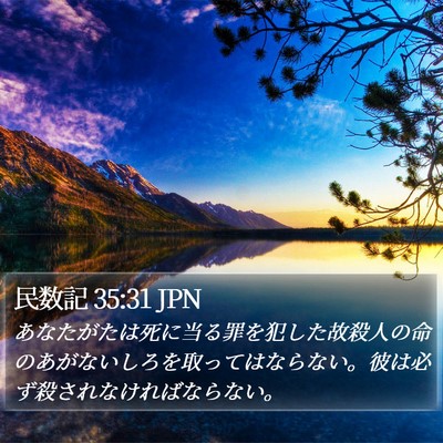 民数記 35:31 JPN Bible Verse Image