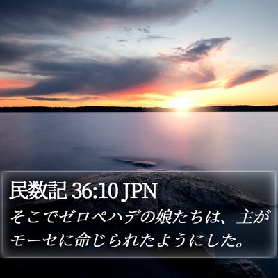 民数記 36:10 JPN Bible Verse Image