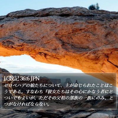 民数記 36:6 JPN Bible Verse Image