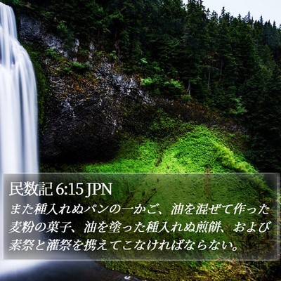 民数記 6:15 JPN Bible Verse Image