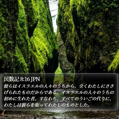 民数記 8:16 JPN Bible Verse Image