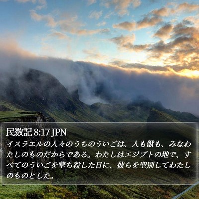 民数記 8:17 JPN Bible Verse Image