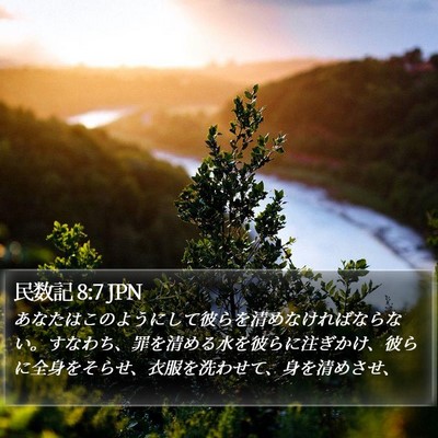 民数記 8:7 JPN Bible Verse Image