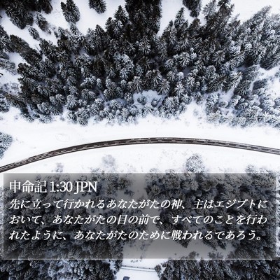 申命記 1:30 JPN Bible Verse Image