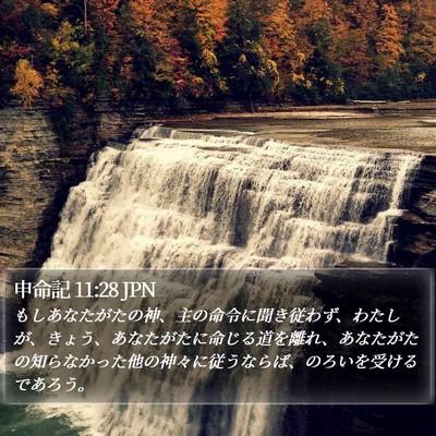 申命記 11:28 JPN Bible Verse Image