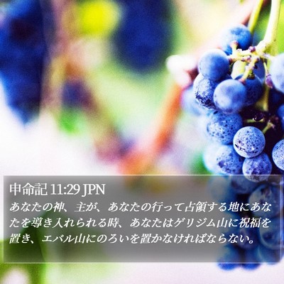 申命記 11:29 JPN Bible Verse Image