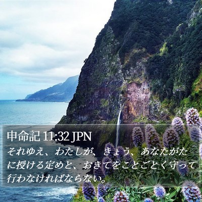 申命記 11:32 JPN Bible Verse Image