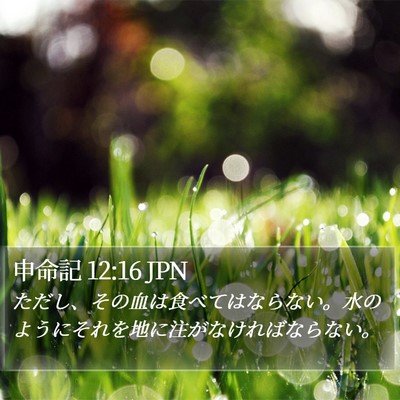 申命記 12:16 JPN Bible Verse Image