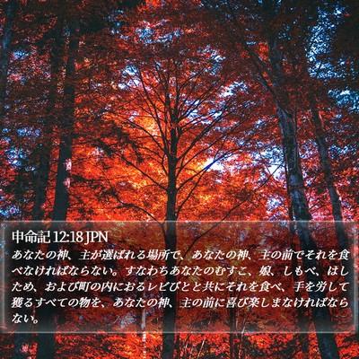 申命記 12:18 JPN Bible Verse Image
