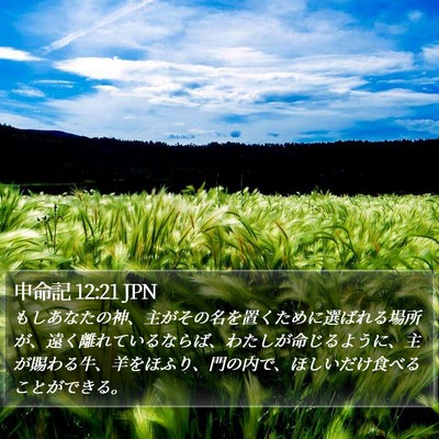 申命記 12:21 JPN Bible Verse Image