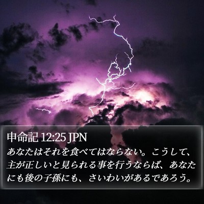 申命記 12:25 JPN Bible Verse Image