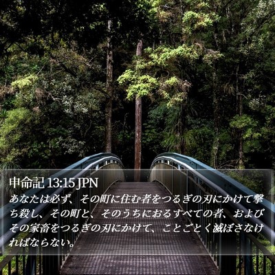 申命記 13:15 JPN Bible Verse Image