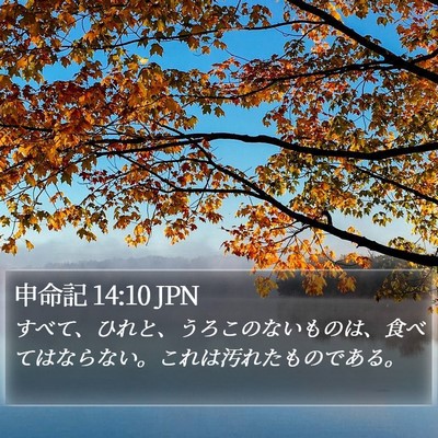 申命記 14:10 JPN Bible Verse Image