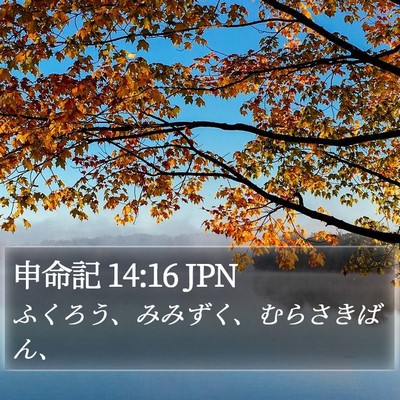 申命記 14:16 JPN Bible Verse Image