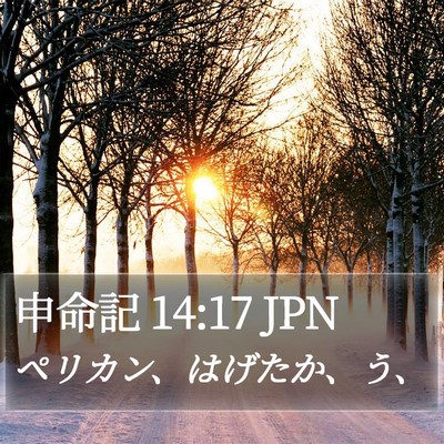 申命記 14:17 JPN Bible Verse Image