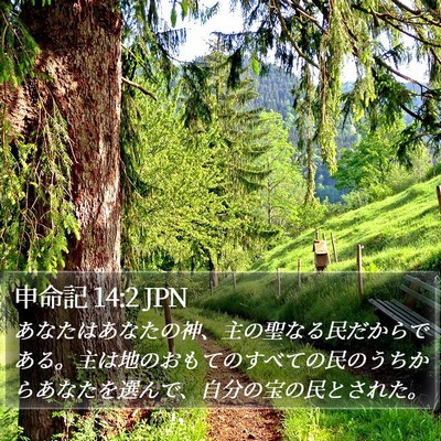 申命記 14:2 JPN Bible Verse Image