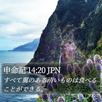 申命記 14:20 JPN Bible Verse Image
