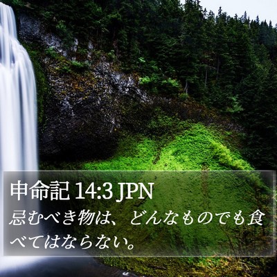 申命記 14:3 JPN Bible Verse Image
