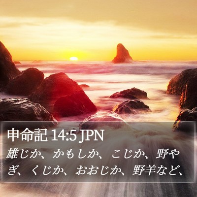 申命記 14:5 JPN Bible Verse Image