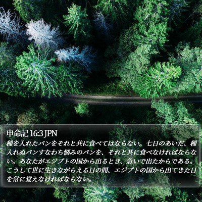 申命記 16:3 JPN Bible Verse Image