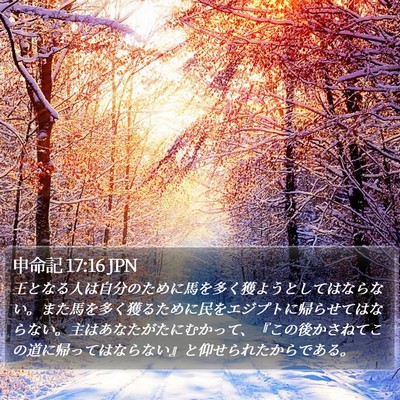 申命記 17:16 JPN Bible Verse Image