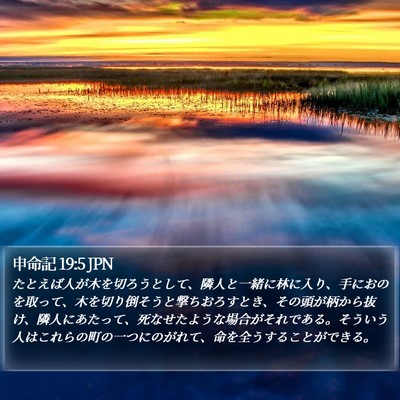 申命記 19:5 JPN Bible Verse Image