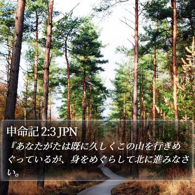 申命記 2:3 JPN Bible Verse Image