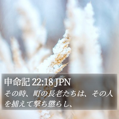 申命記 22:18 JPN Bible Verse Image