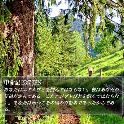 申命記 23:7 JPN Bible Verse Image