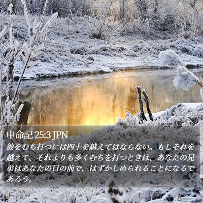 申命記 25:3 JPN Bible Verse Image