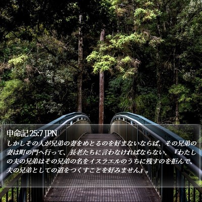申命記 25:7 JPN Bible Verse Image