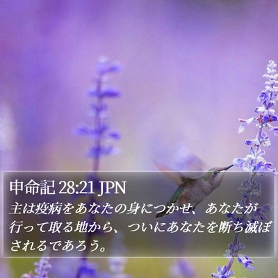 申命記 28:21 JPN Bible Verse Image