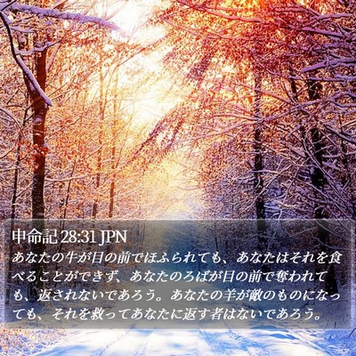 申命記 28:31 JPN Bible Verse Image