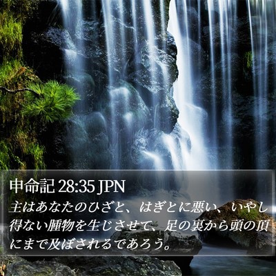 申命記 28:35 JPN Bible Verse Image