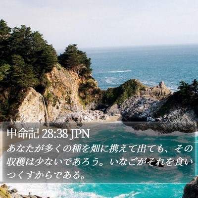 申命記 28:38 JPN Bible Verse Image
